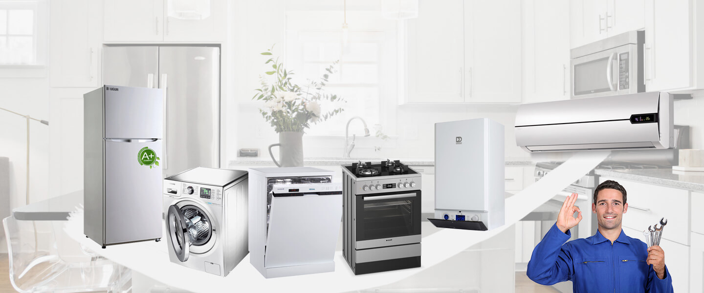 Delice Viessmann Servisi